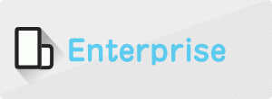 Enterprise