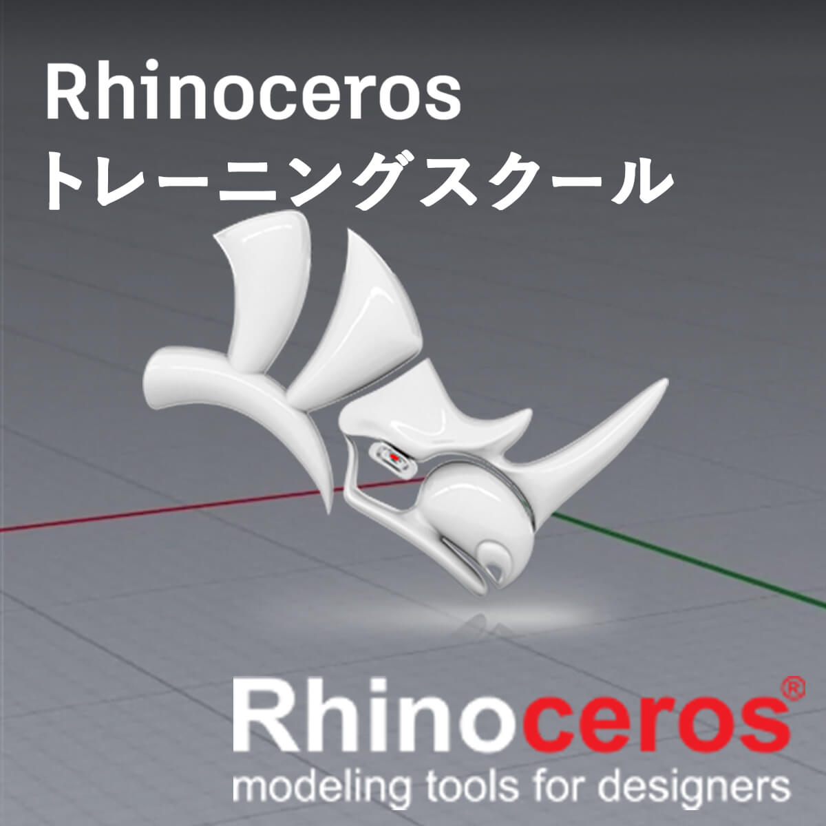 Rhinoceros トレーニング