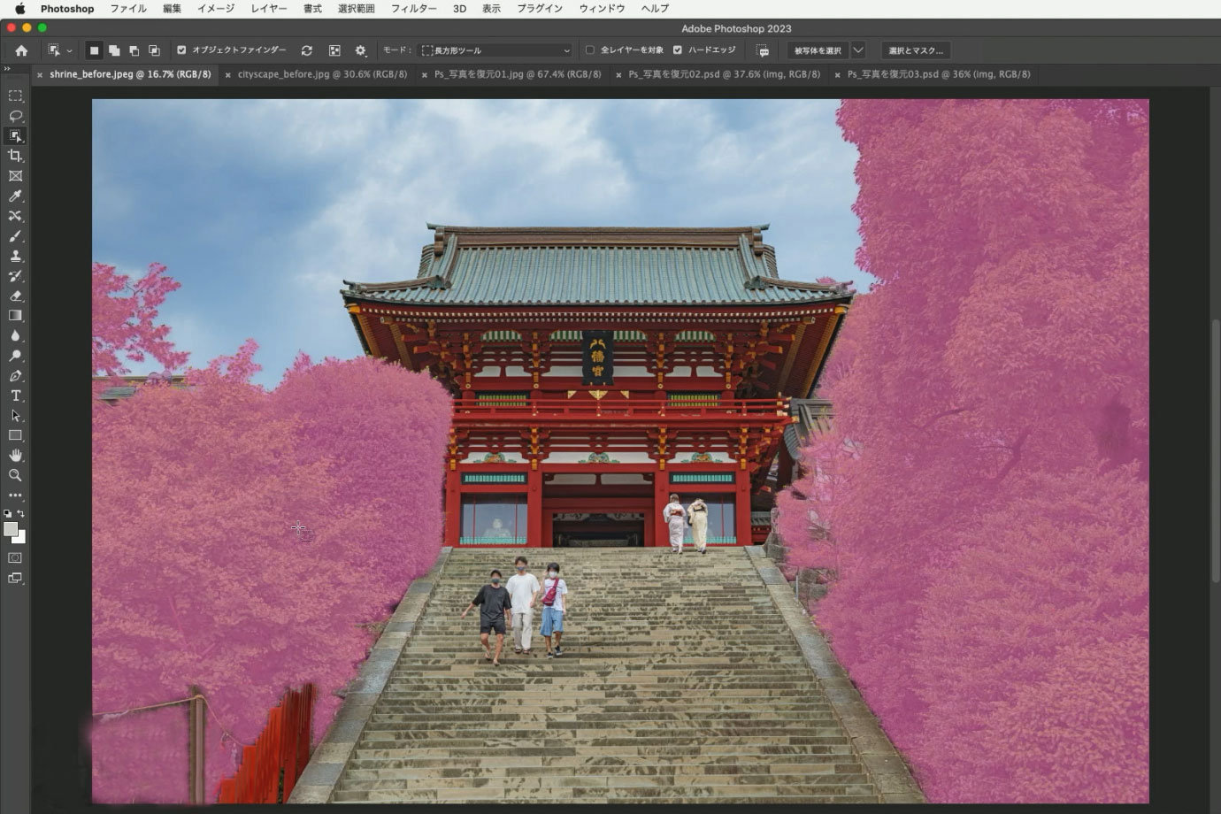 dss2022_adobe_05.jpg
