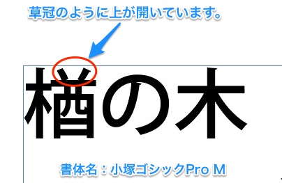 フォントによって一部の字形が異なるのはなぜですか？