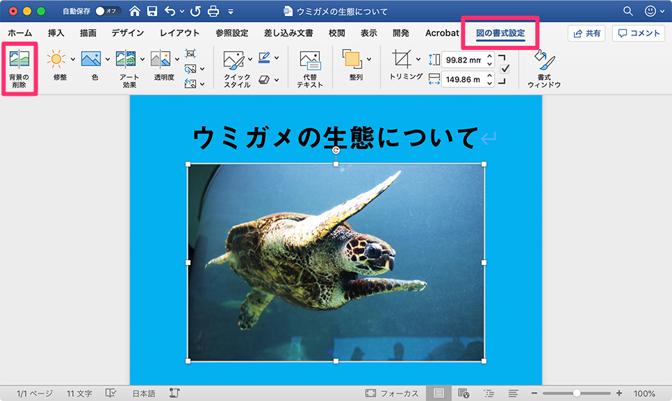 Word や Excel Powerpoint に挿入した画像の背景を切り抜きたい Too クリエイターズfaq 株式会社too