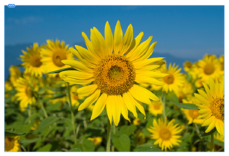 Indesignに配置したeps画像の表示が荒い Too クリエイターズfaq 株式会社too