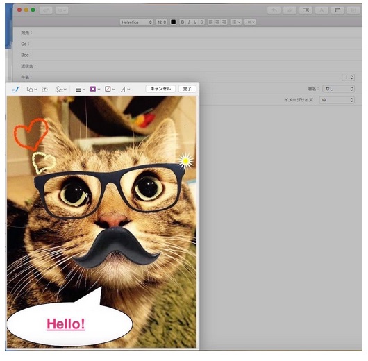 Apple メールで画像を添付した状態で、その画像にキャプションや絵を