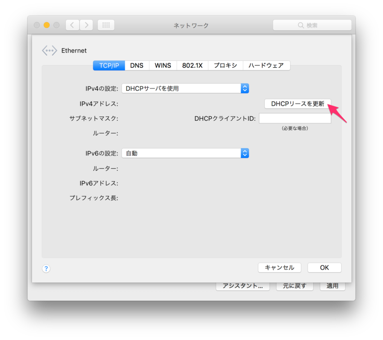 システム環境設定 ネットワーク が 自己割り当て Ip となり インターネットやプリント出力が行えません Too クリエイターズfaq 株式会社too