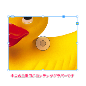 61429-1.png