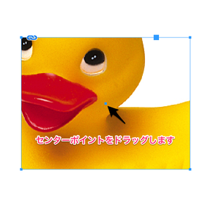 61429-2.png